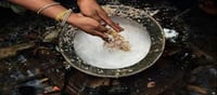 Facts about Tamil Nadu's Harvest Festival!!!